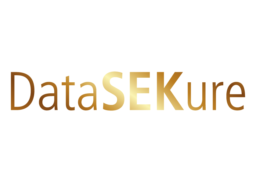 Gds Logo Datasekure